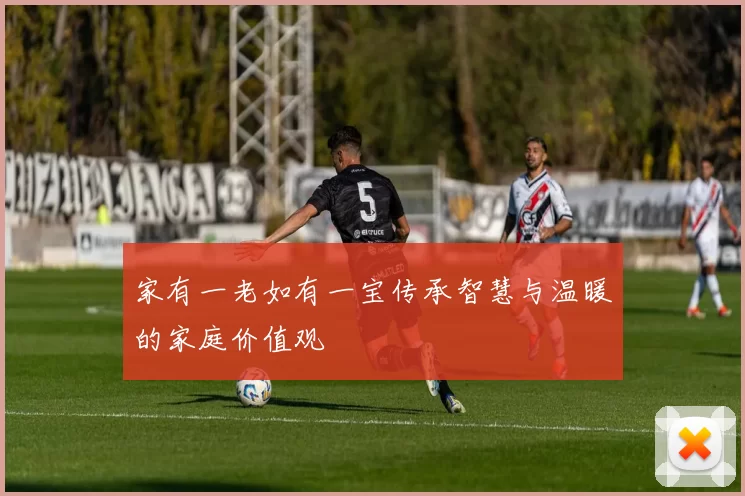 家有一老如有一宝传承智慧与温暖的家庭价值观