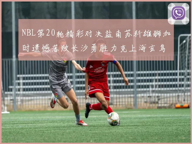 NBL第20轮精彩对决盐南苏科雄狮加时遗憾落败长沙勇胜力克上海玄鸟